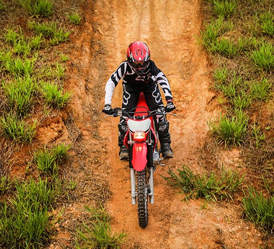 imagem_harmonia_transito3