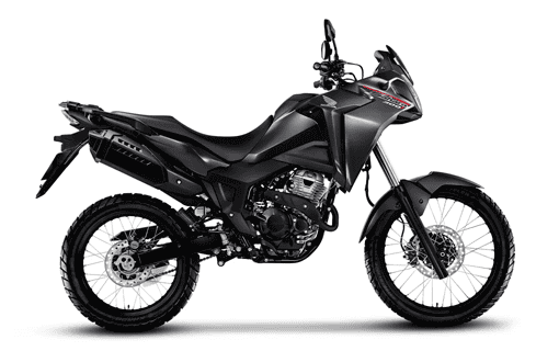 Sahara 300