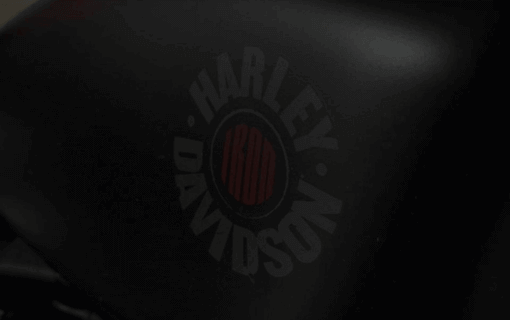Sportster